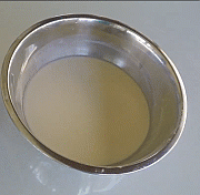 Demonstration of dilatant behavior in starch and water mixture, also known as oobleck, where increased shear stress causes the liquid to resist deformation and increase in viscosity.